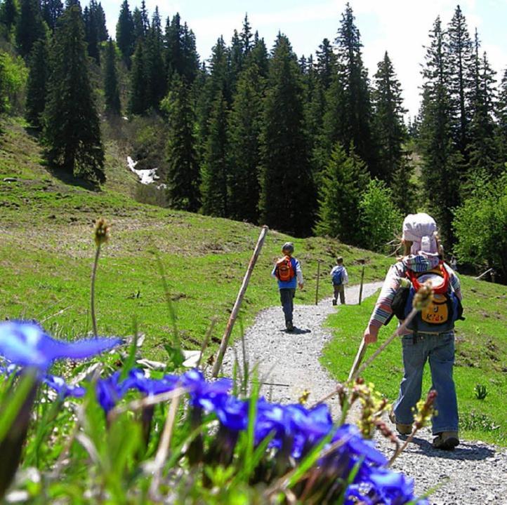 Diese Einfache Unterkunft- Bergheimat Ist Nur Fuer Backpacker- Rucksacktouristen Und Radfahrer - Huettenfeeling Im Backpackerhoues- Ganz Einfach - Ganz Unkompliziert - Ganz Relaxd Villa Linthal Exterior photo